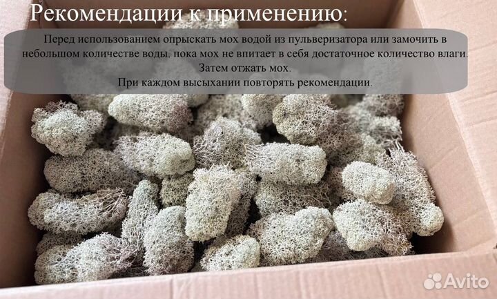 Мох ягель для стабилизации