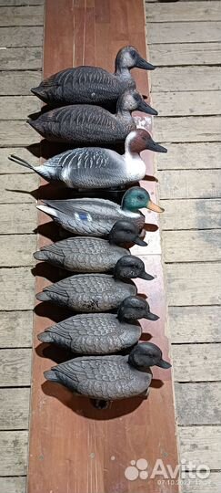 Чучела уток