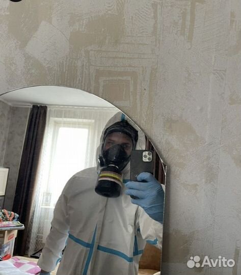 Уничтожение клопов и тараканов дезинфекция