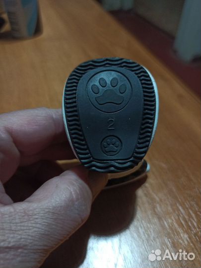 Обувь для животных