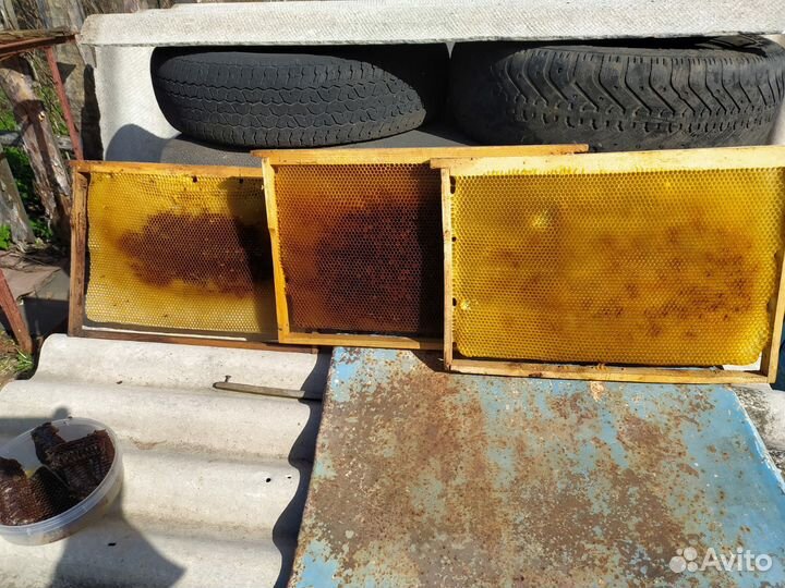 Рамки с сушью