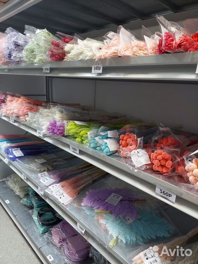 Сухоцветы для творчества