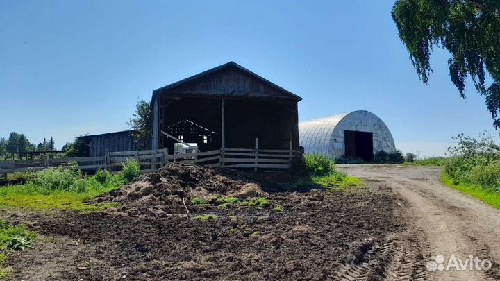 Фермерское хозяйство