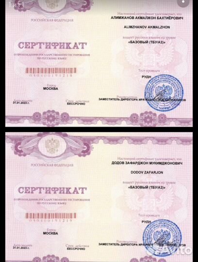 Сертификат русского языка Патент РВП ВНЖ Граждан