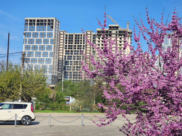 3-к. квартира, 88,9 м², 19/24 эт.