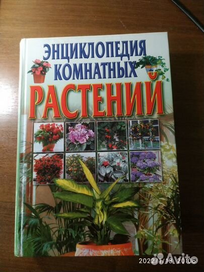 Энциклопедия комнатных растений