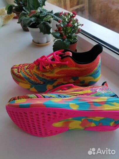 Asics noosa tri 15