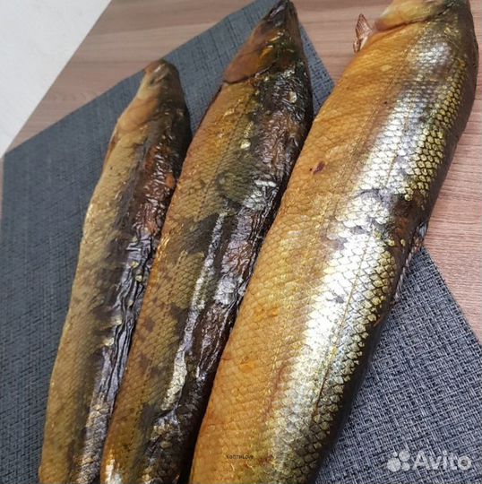 Коптильня горячего и холодного копчения