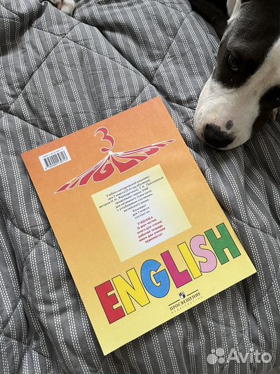 Английский язык 3 часть 1 Верещагина Притыкина