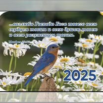 Календари разные на 2025 г,в наличии и под заказ