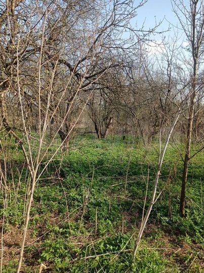 Участок 18 сот. (ИЖС)