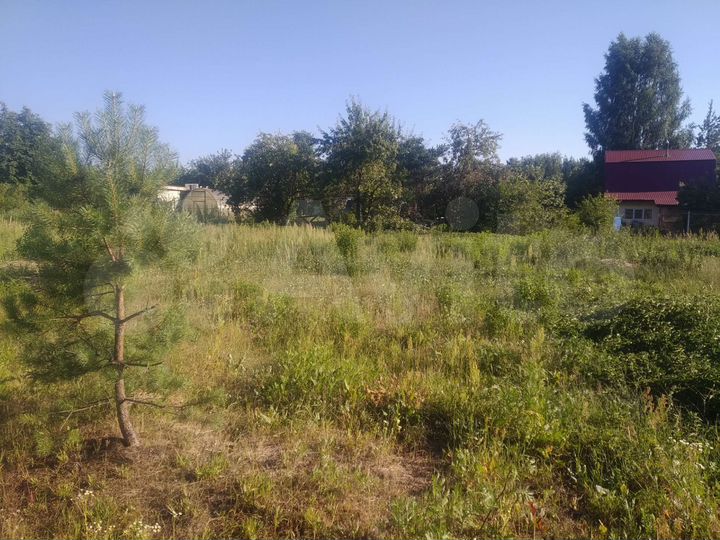 Участок 10 сот. (СНТ, ДНП)