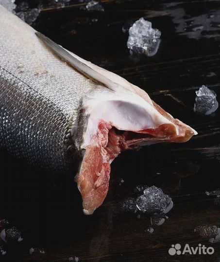 Горбуша пбг 2023г. (Сахалинская)