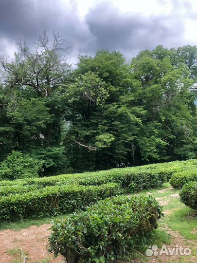 Путешествия на Озера любви