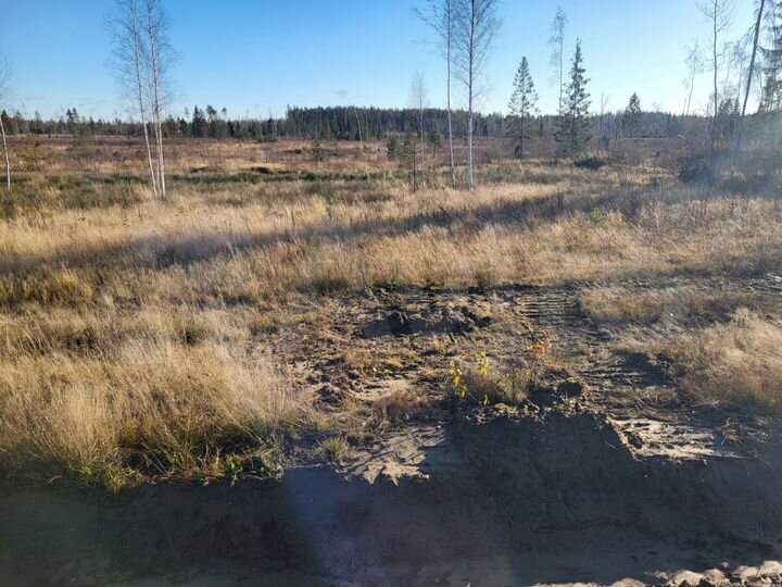 Участок 12 сот. (СНТ, ДНП)