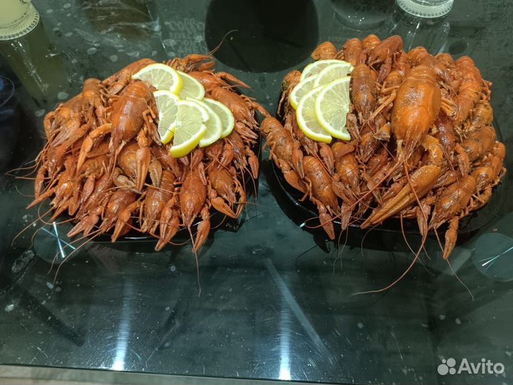 Живые раки с доставкой