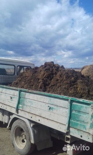 Перегной, Навоз, Земля, опил