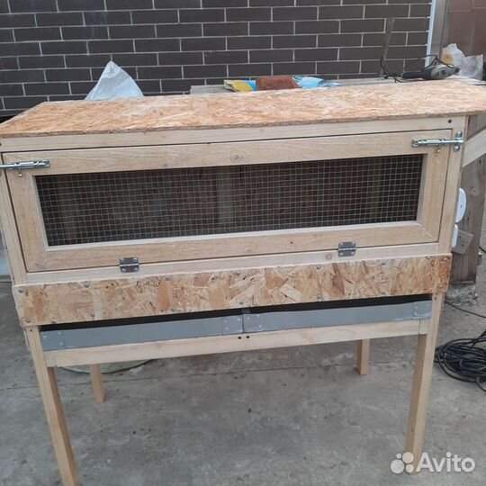 Брудер для цыплят