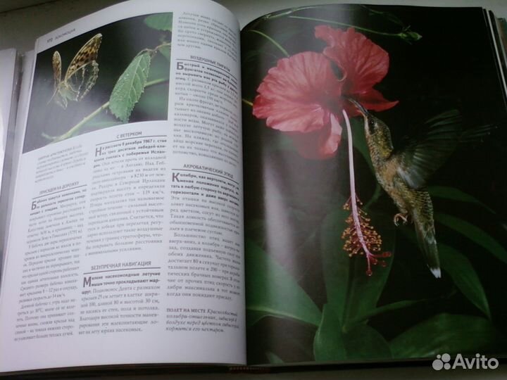 1000 чудес природы