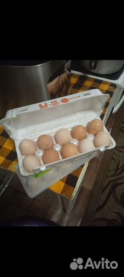 Яйцо куриное домашнее