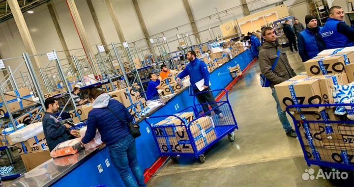 PRO ozon помощь в открытии магазина на Озон