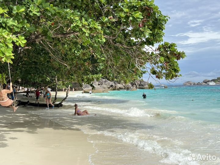 Путешествия