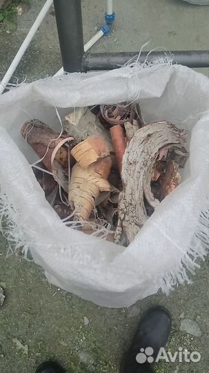 Береста для розжига