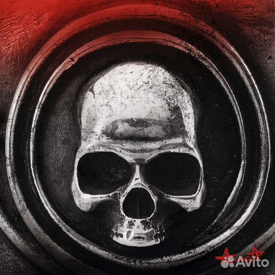 Алиса дудка винил