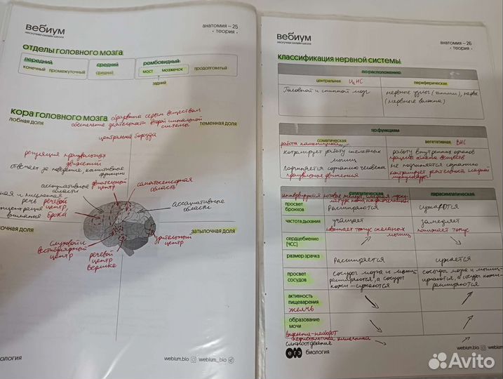 Конспекты для подготовки к биологииегэ от Вебиума