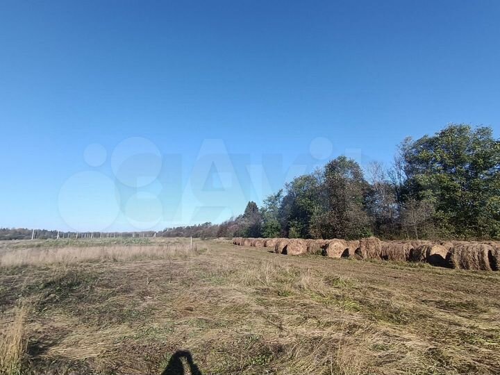 Участок 18 сот. (личное подсобное хозяйство (лпх))