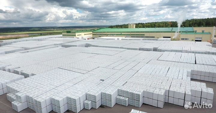 Пеноплэкс 100