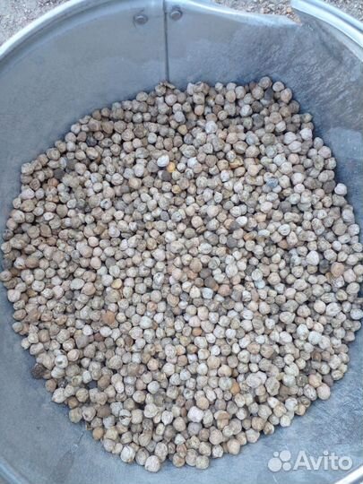 Жом свекловичный, зерносмесь