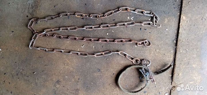 Цепь и ошейник для собак