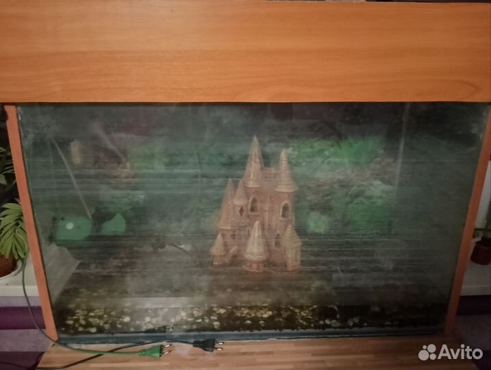 Аквариум
