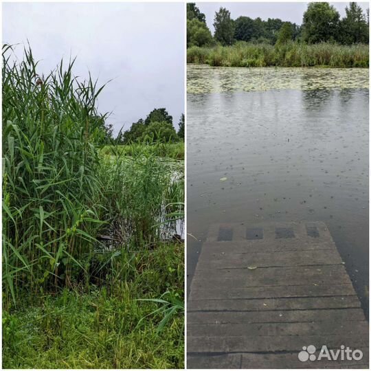 Покос травы, расчистка участка, вырубка кустарника