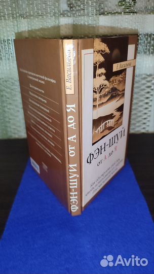 Книга Е. Васильева 