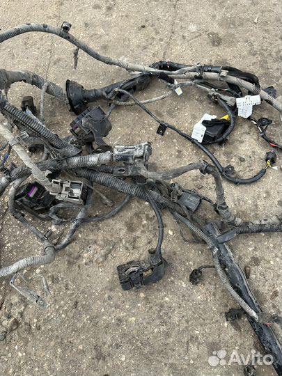 Kia Rio 3 автомат проводка двигателя