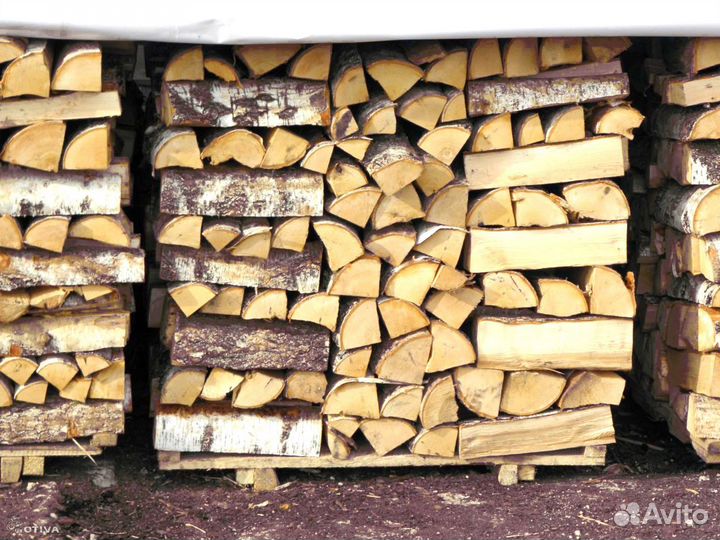 Дрова березовые