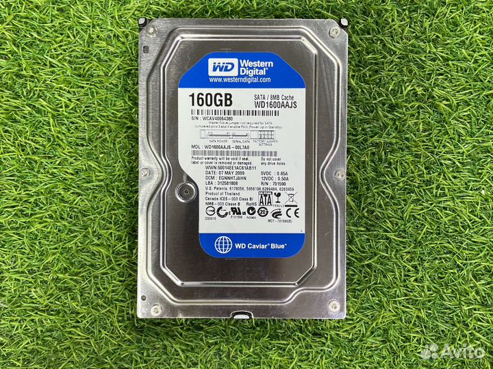 Western Digital WD Blue 160 гб WD1600aajs