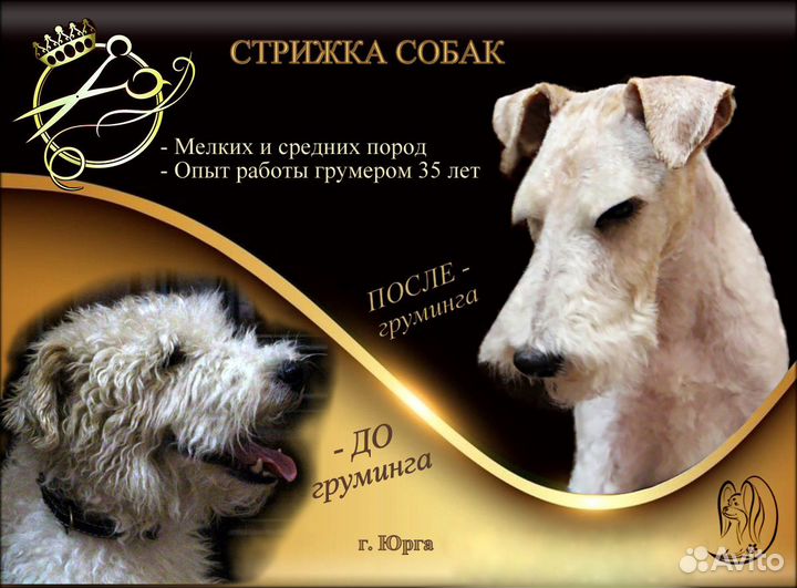 Стрижка собак