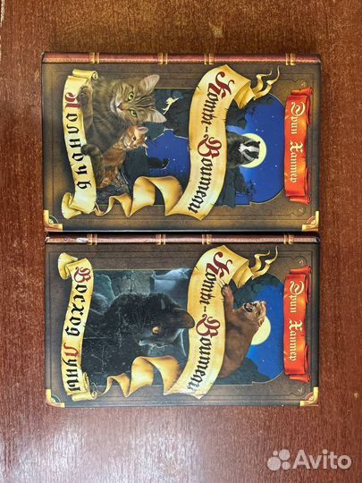 Книги коты-воители 3