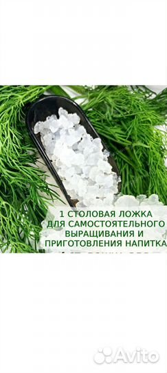 Индийский морской рис
