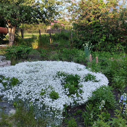 Дом 65,2 м² на участке 15 сот.