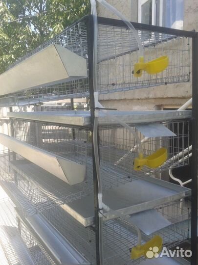 Металические клетки для перепелов