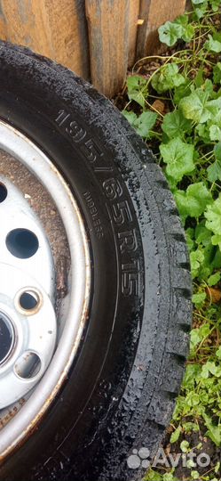 Колеса на волгу р15 зимние
