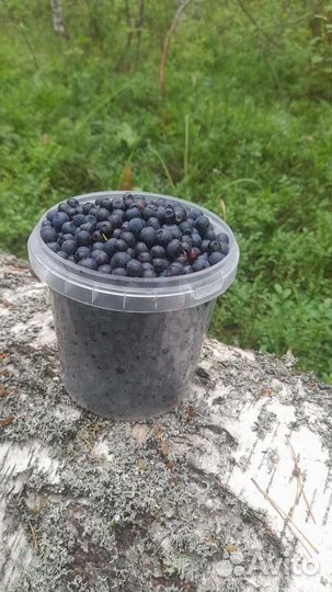 Чернига