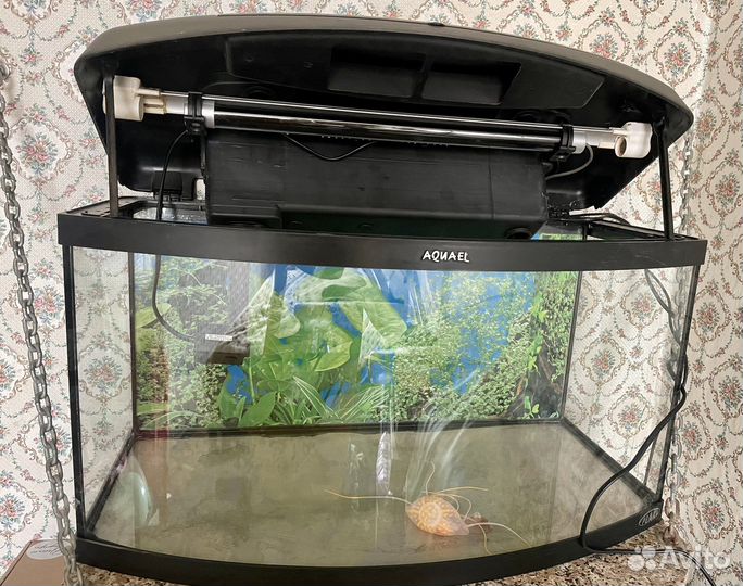 Аквариум aquael 45 литров