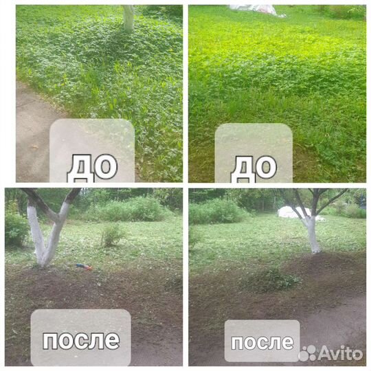 Покос травы и бурьяна