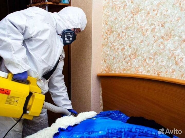 Дезинфекция Уничтожение тараканов, клопов, муравье