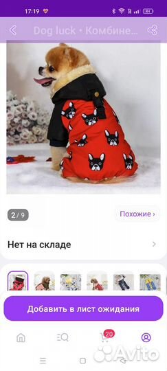 Комбинезон для маленькой собаки